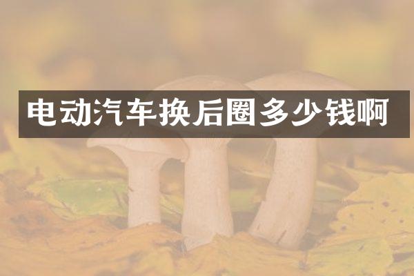 电动汽车换后圈多少钱啊