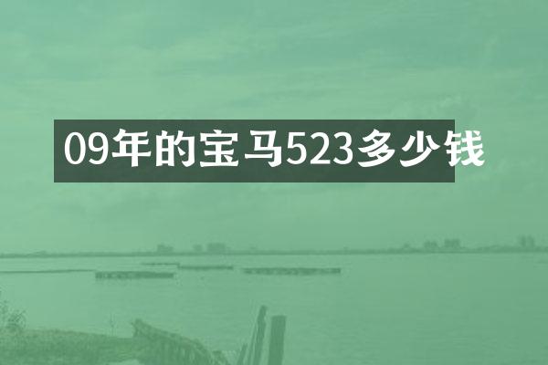 09年的宝马523多少钱