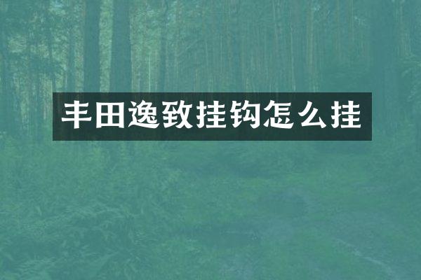 丰田逸致挂钩怎么挂