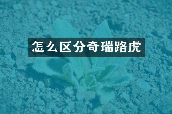 怎么区分奇瑞路虎