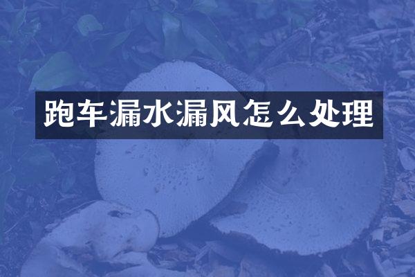 跑车漏水漏风怎么处理