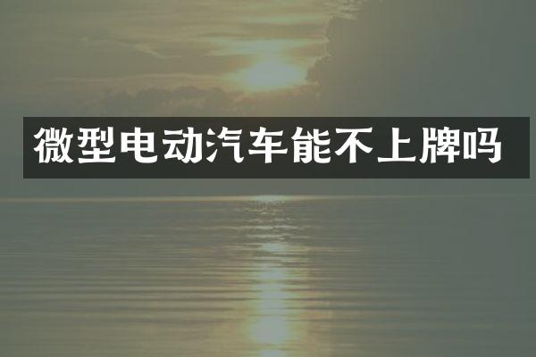 微型电动汽车能不上牌吗