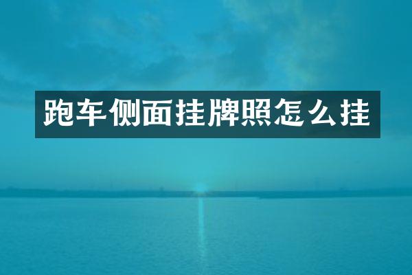 跑车侧面挂牌照怎么挂