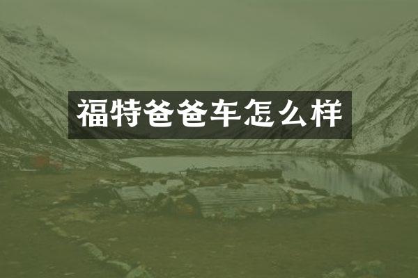 福特爸爸车怎么样