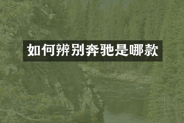 如何辨别奔驰是哪款