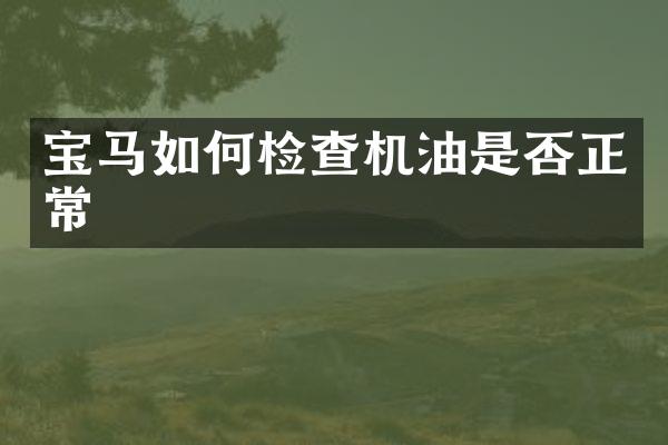 宝马如何检查机油是否正常