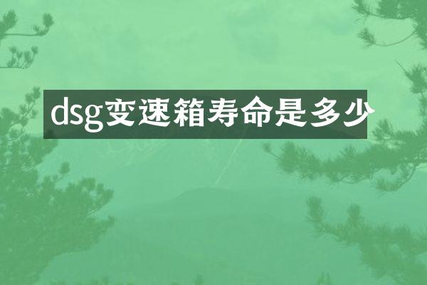 dsg变速箱寿命是多少