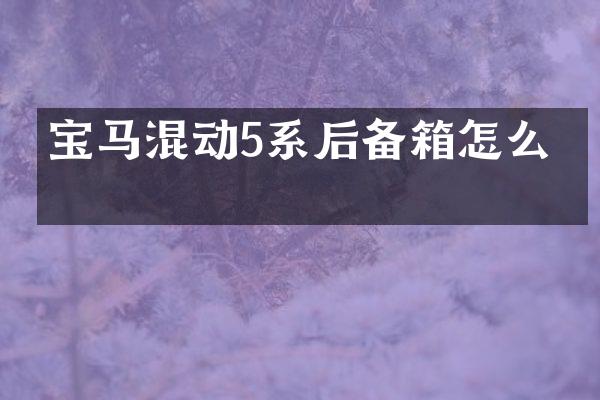 宝马混动5系后备箱怎么开