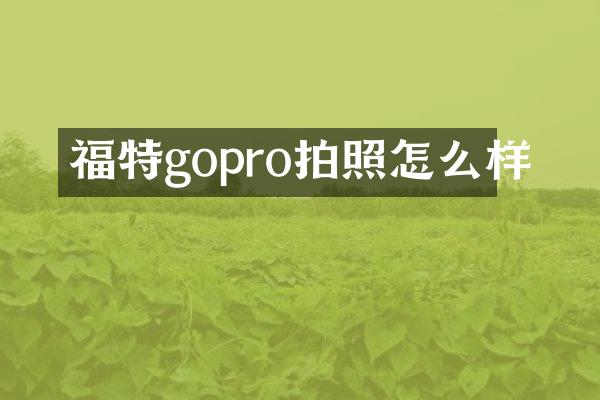 福特gopro拍照怎么样