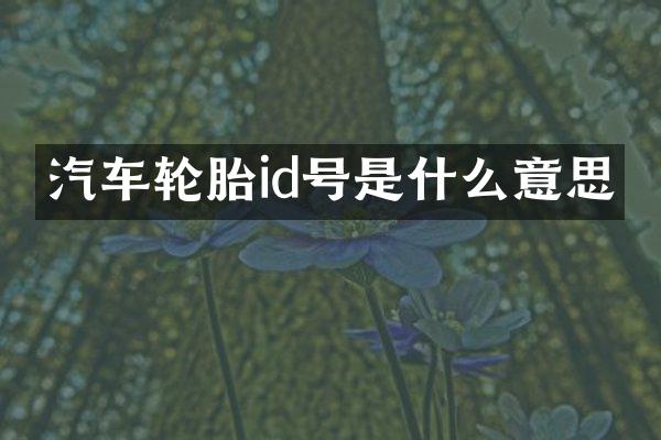 汽车轮胎id号是什么意思