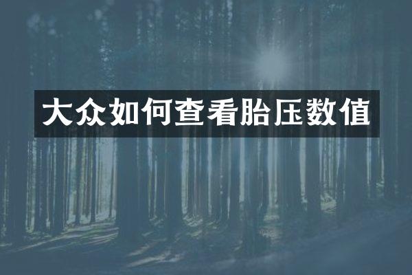 大众如何查看胎压数值