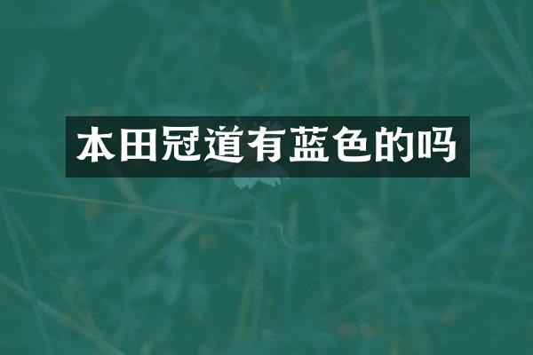 本田冠道有蓝色的吗