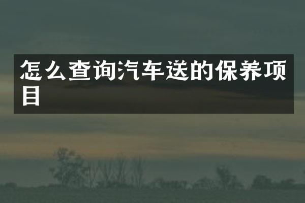 怎么查询汽车送的保养项目