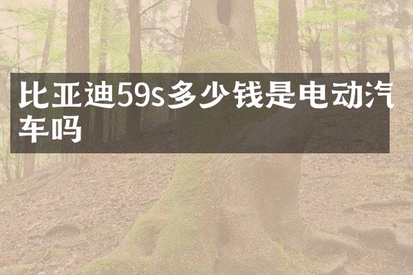 比亚迪59s多少钱是电动汽车吗