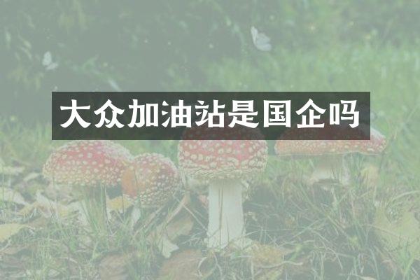 大众加油站是国企吗