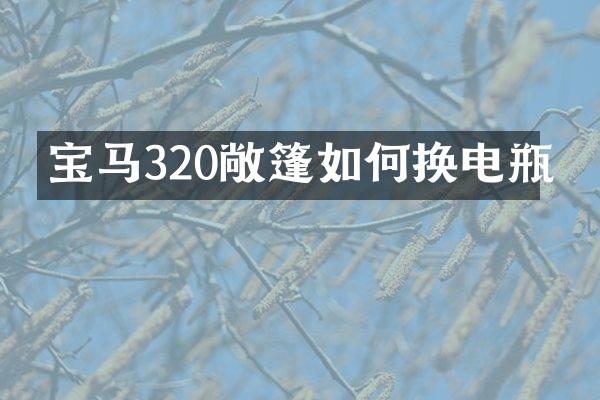 宝马320敞篷如何换电瓶