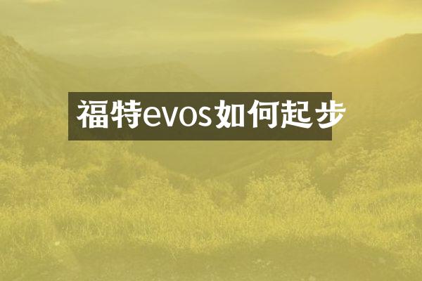 福特evos如何起步