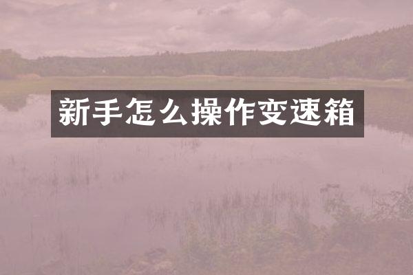 新手怎么操作变速箱