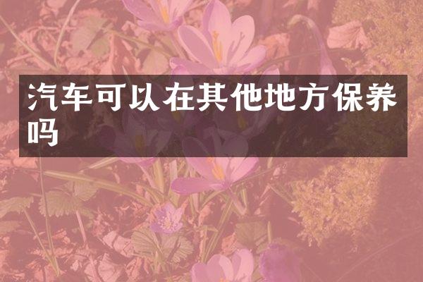 汽车可以在其他地方保养吗