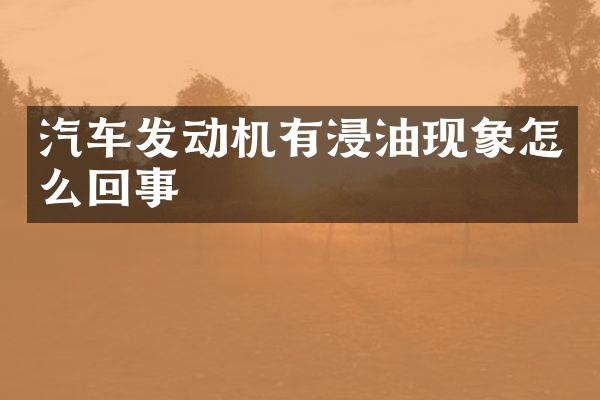 汽车发动机有浸油现象怎么回事