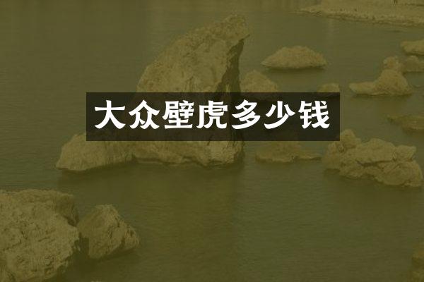 大众壁虎多少钱
