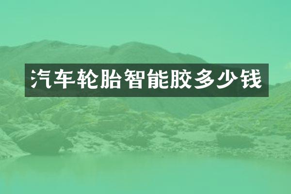 汽车轮胎智能胶多少钱