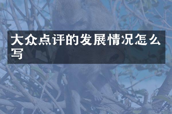 大众点评的发展情况怎么写
