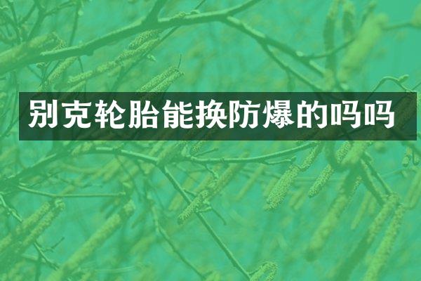 别克轮胎能换防爆的吗吗
