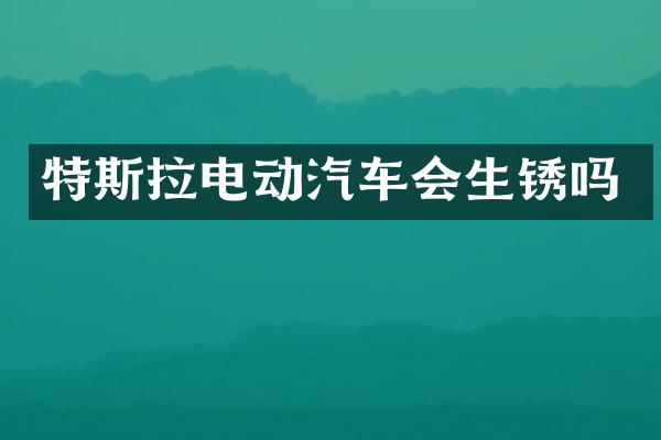 特斯拉电动汽车会生锈吗