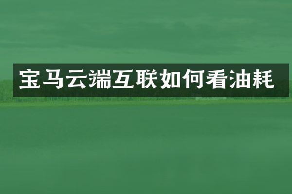 宝马云端互联如何看油耗