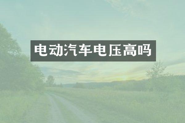 电动汽车电压高吗