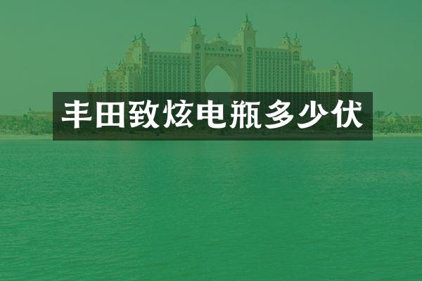 丰田致炫电瓶多少伏