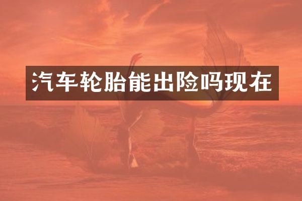 汽车轮胎能出险吗现在