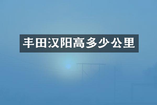 丰田汉阳高多少公里