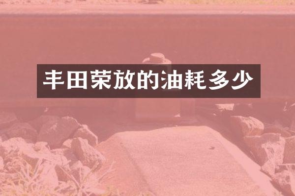 丰田荣放的油耗多少