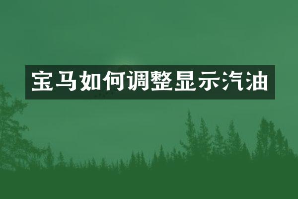 宝马如何调整显示汽油