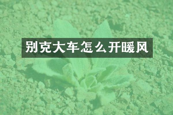 别克大车怎么开暖风