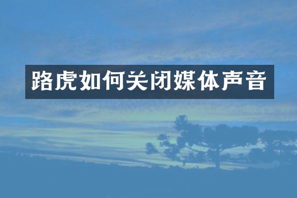 路虎如何关闭媒体声音