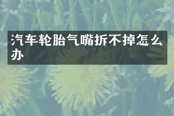 汽车轮胎气嘴拆不掉怎么办