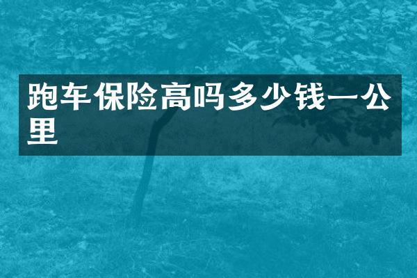 跑车保险高吗多少钱一公里