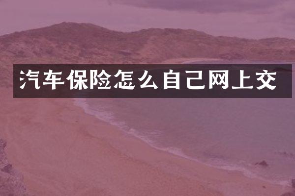 汽车保险怎么自己网上交