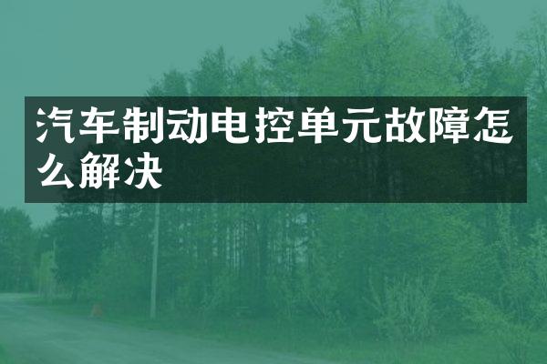 汽车制动电控单元故障怎么解决