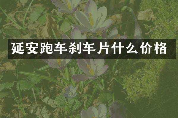 延安跑车刹车片什么价格