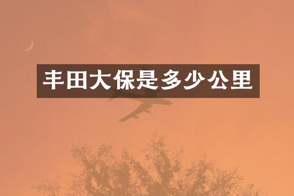 丰田大保是多少公里