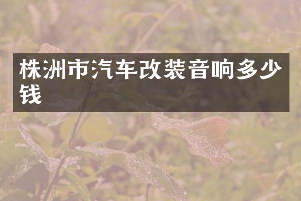株洲市汽车改装音响多少钱