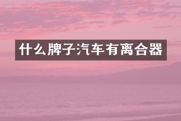 什么牌子汽车有离合器