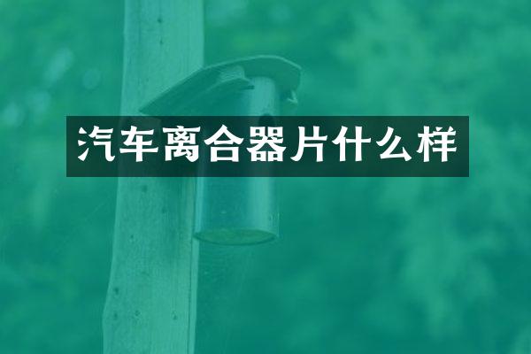 汽车离合器片什么样