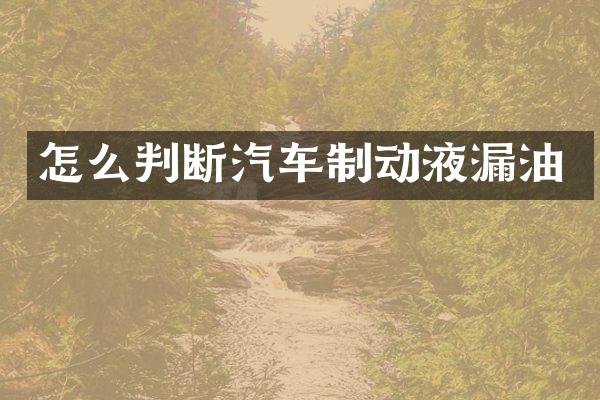 怎么判断汽车制动液漏油