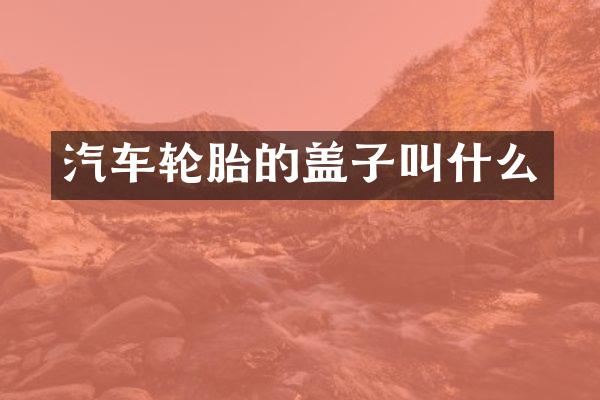 汽车轮胎的盖子叫什么