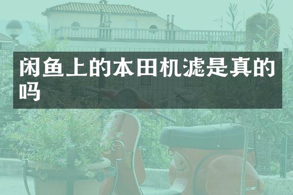 闲鱼上的本田机滤是真的吗